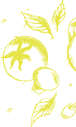 About Section Decorative Shape