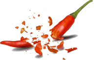 Red Chili Spice Decoration